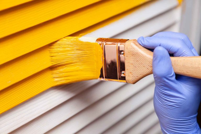 d&eacute;couvrez nos solutions de peinture et rev&ecirc;tements pour sublimer vos murs, sols et surfaces. large choix de couleurs, finitions et mat&eacute;riaux adapt&eacute;s &agrave; tous vos projets de d&eacute;coration et r&eacute;novation.