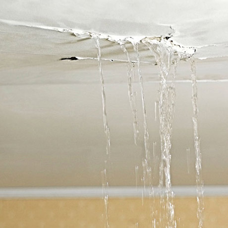 besoin d’une rénovation après un dégât des eaux à paris 13 ? experts qualifiés, devis gratuit et intervention rapide pour remettre votre logement en état. contactez-nous dès maintenant !