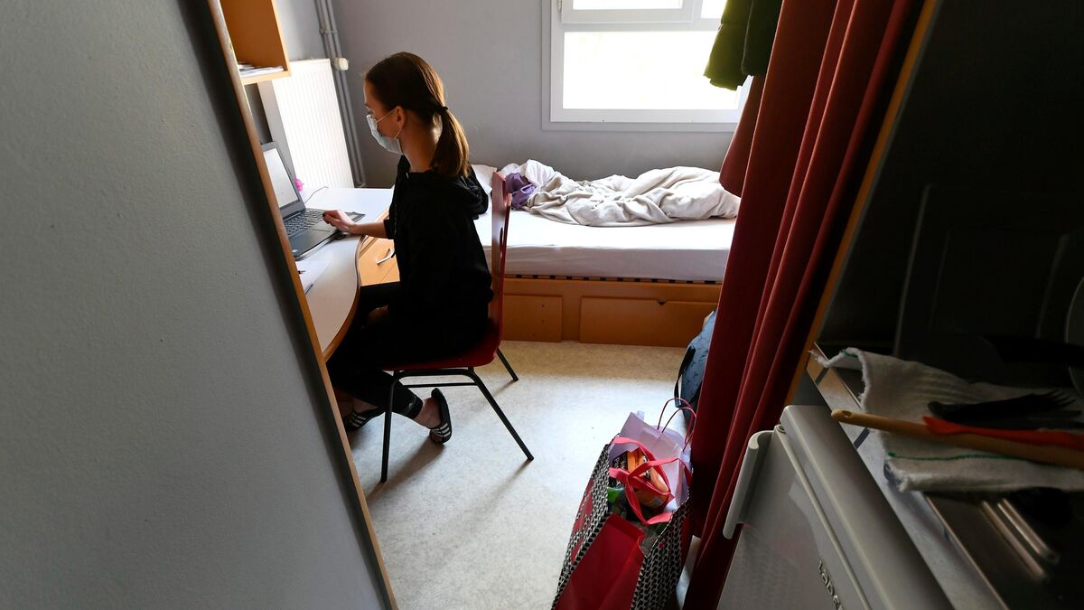 découvrez les tarifs de rénovation pour un logement étudiant à paris 13 : prix moyens, conseils et prestations adaptées à chaque budget pour optimiser votre espace en toute sérénité.